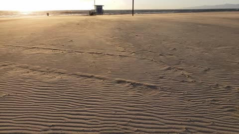 Driving Wind on the Beach