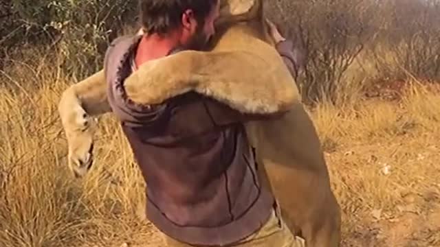 Man HUGS a wild LION!!!!!