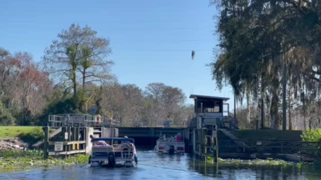 Haines Creek in Central Florida 🇺🇸