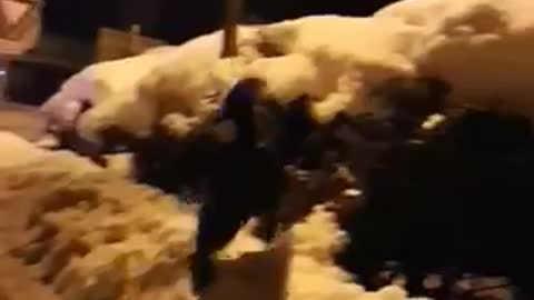 Guy in black sweater running and falling in snow