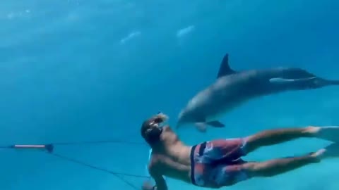 This is a beautiful and charming water-dwelling species