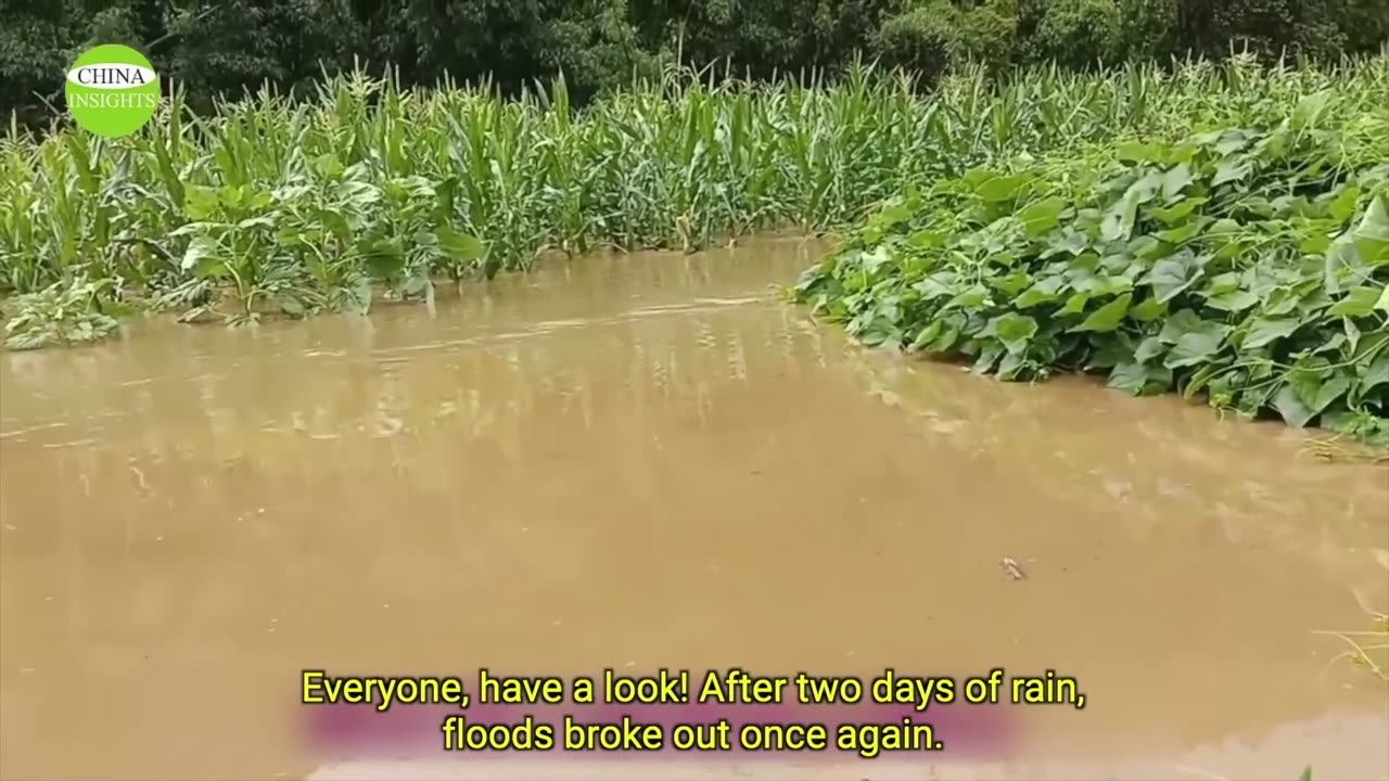Southern China Continued heavy flooding Xi is too scared to show up at the heavy flooding scene