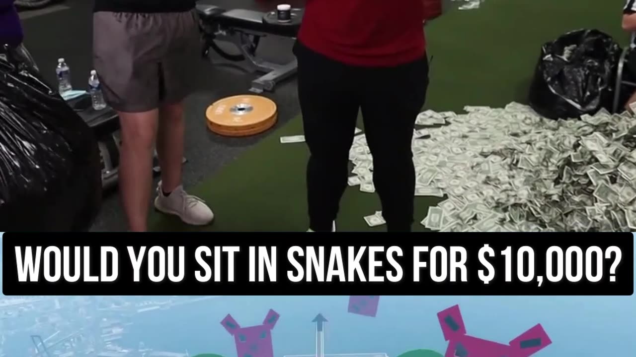 Part 3 - Yould Your Sit In Snakes For $10,000