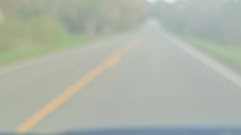 Fall cruisin'