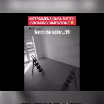 Alien or Interdimensional Being?