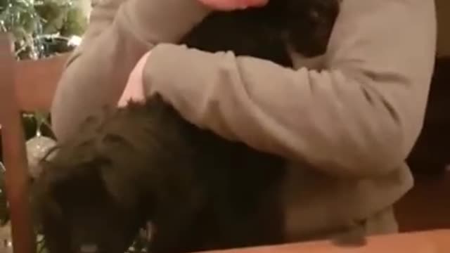 Mum grabs wrong end of dog