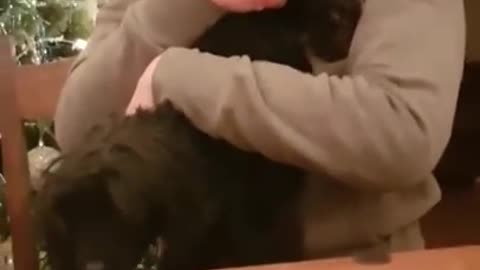 Mum grabs wrong end of dog