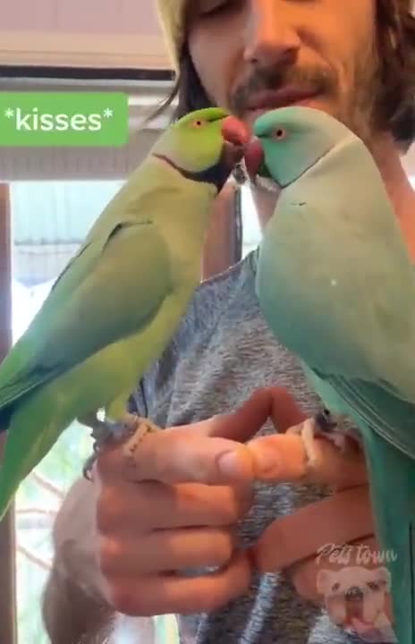 The parrot talks with his friend and squeezes her into her bed