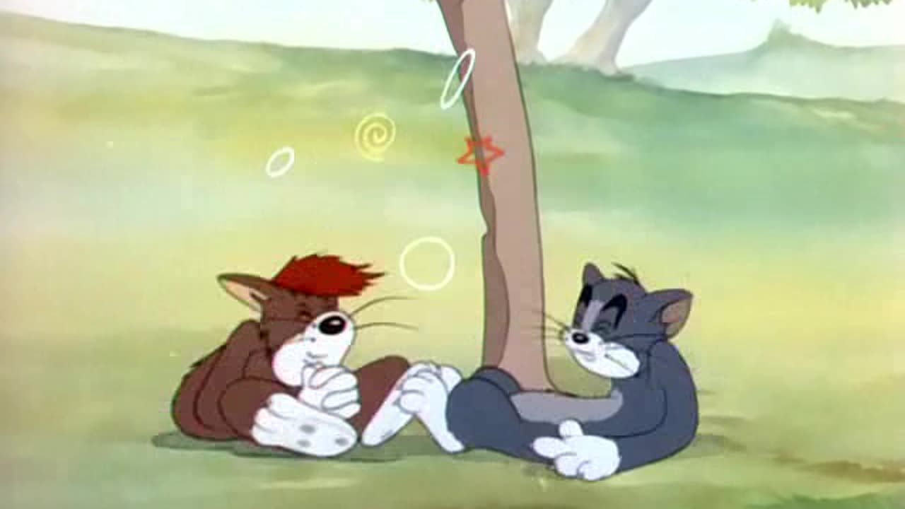 Tom and Jerry: Sufferin' Cats! - Rivalry and Comedy in Classic Chase 009