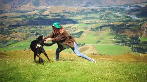 Dog playing with the girl