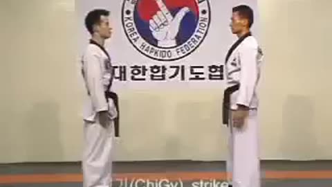 Hapkido