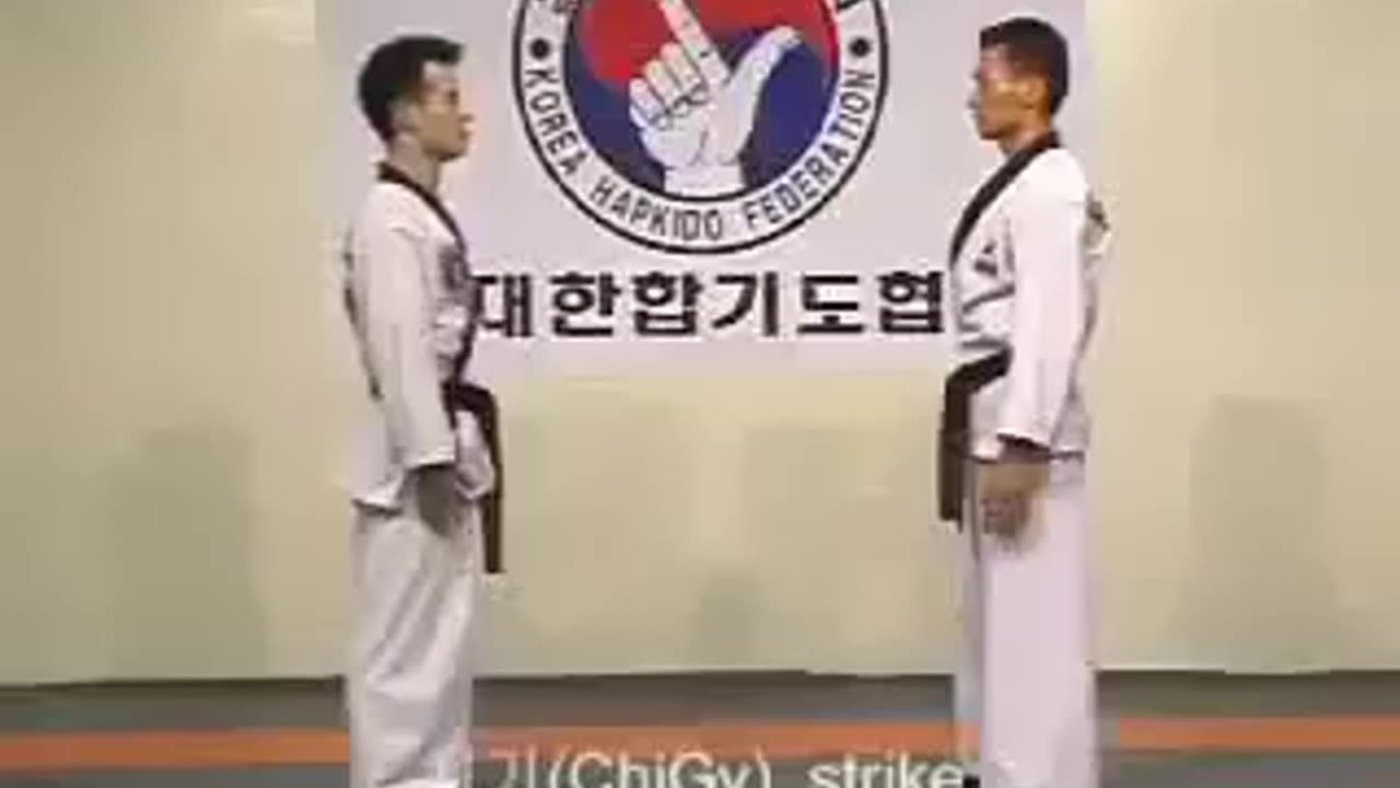 Hapkido