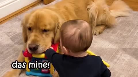 Dog is the greatest babysitter ever!!🤣