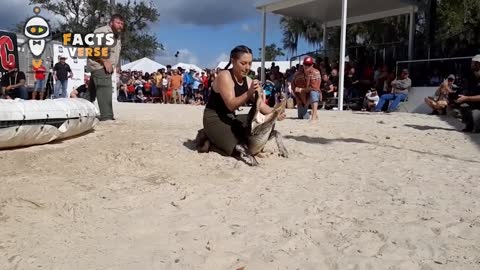 Viral videos
