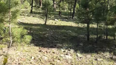 Our Grandson exploring the Outdoors