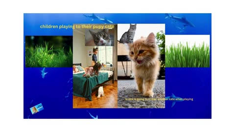 How pupy cate tray to playing
