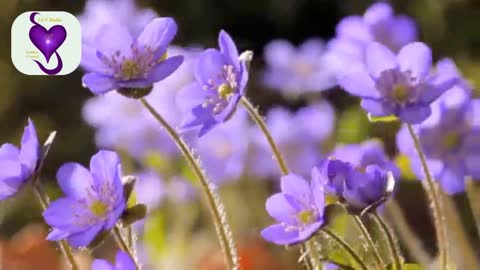 LUV Radio staff promo