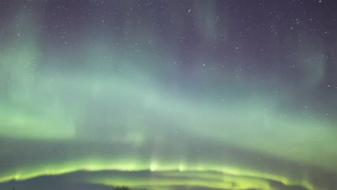 Help NASA Scientists Track Auroras Aurorasaurus_10