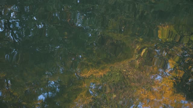 Relax to you || №11
