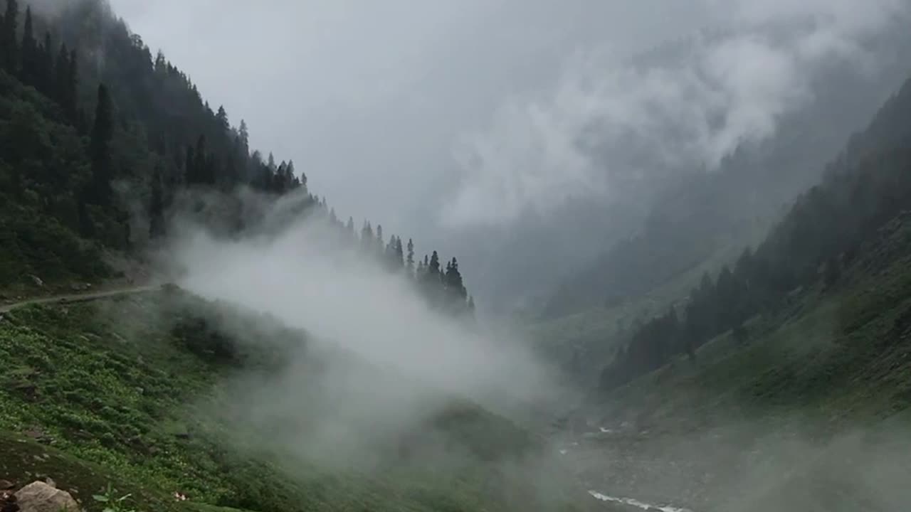 North Pakistan Beauty