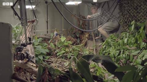 How to Bring Plants to Life on Camera | The Green Planet | BBC Earth