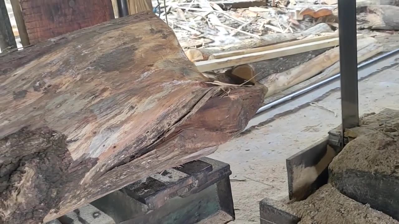Super sustained anti-creepy, acacia wood sawing process at Sawmill