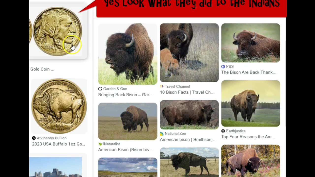 Nearly Obliterated - 1890s Only A Few Buffalo left Nearly Extinct Man - TheUnscrambledChannel