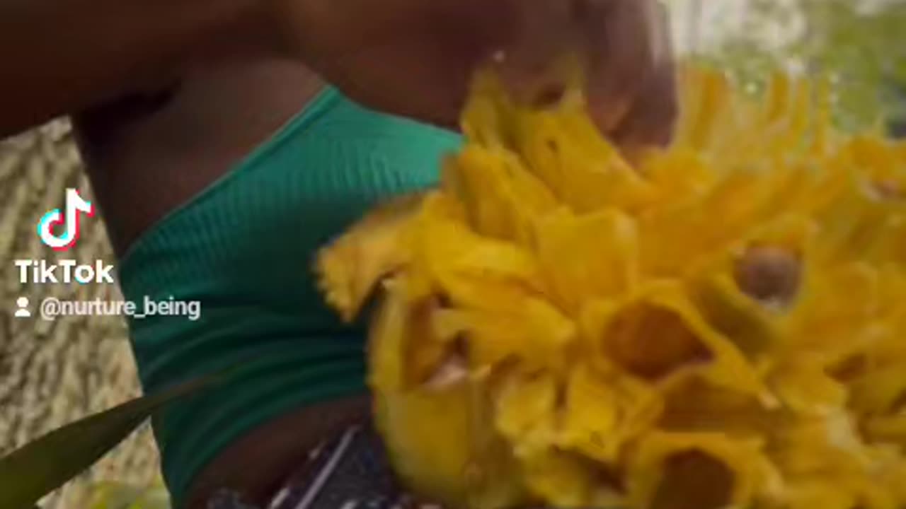 Meet the Giant: The Jamaican Jackfruit, the World's Biggest Fruit