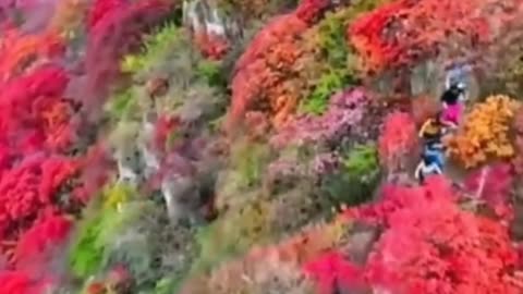 It's autumn, let's go climbing together! Feel the changes in nature.