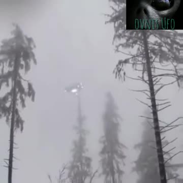 UFO - Large UFO Over Trees...