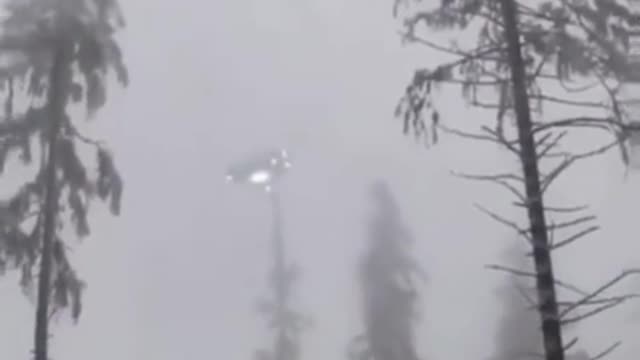 UFO - Large UFO Over Trees...