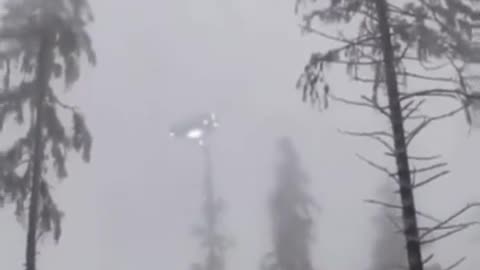 UFO - Large UFO Over Trees...