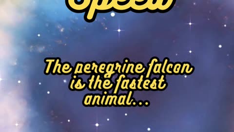 Animal Facts Peregrine Falcon Speed #shorts