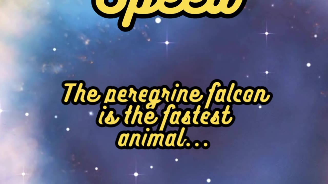 Animal Facts Peregrine Falcon Speed #shorts