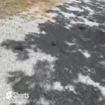 Sometimes You Just Have To Be Bad