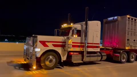 Optimus Prime daily delivery horse # American trucker