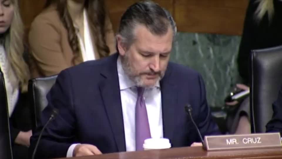 Circuit judge nominee Abudu Ted Cruz "Your current employer labeled 3 members as white supremacists