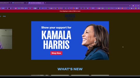 Kamala Harris is only in the race to put Trump back in the white house