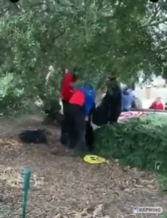 Filthy Antifa Change Into Trump Clothes in Bushes Outside Capitol Building on January 6, 2021