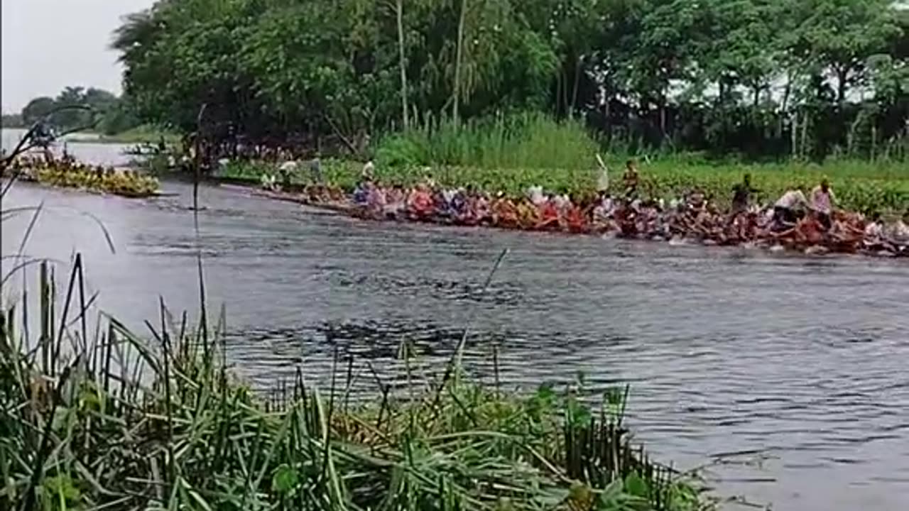 নৌকা বাইচ গোমতী নদীতে