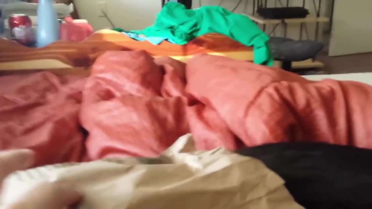 Funny Cats Will Make You Laugh For Hours!!! NEW 2019! (Funny Cat Compilation, Clean, No Swearing)