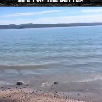 One Decision Away From a Whole New Life