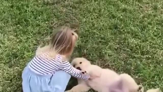 Cute baby dogs video compilation