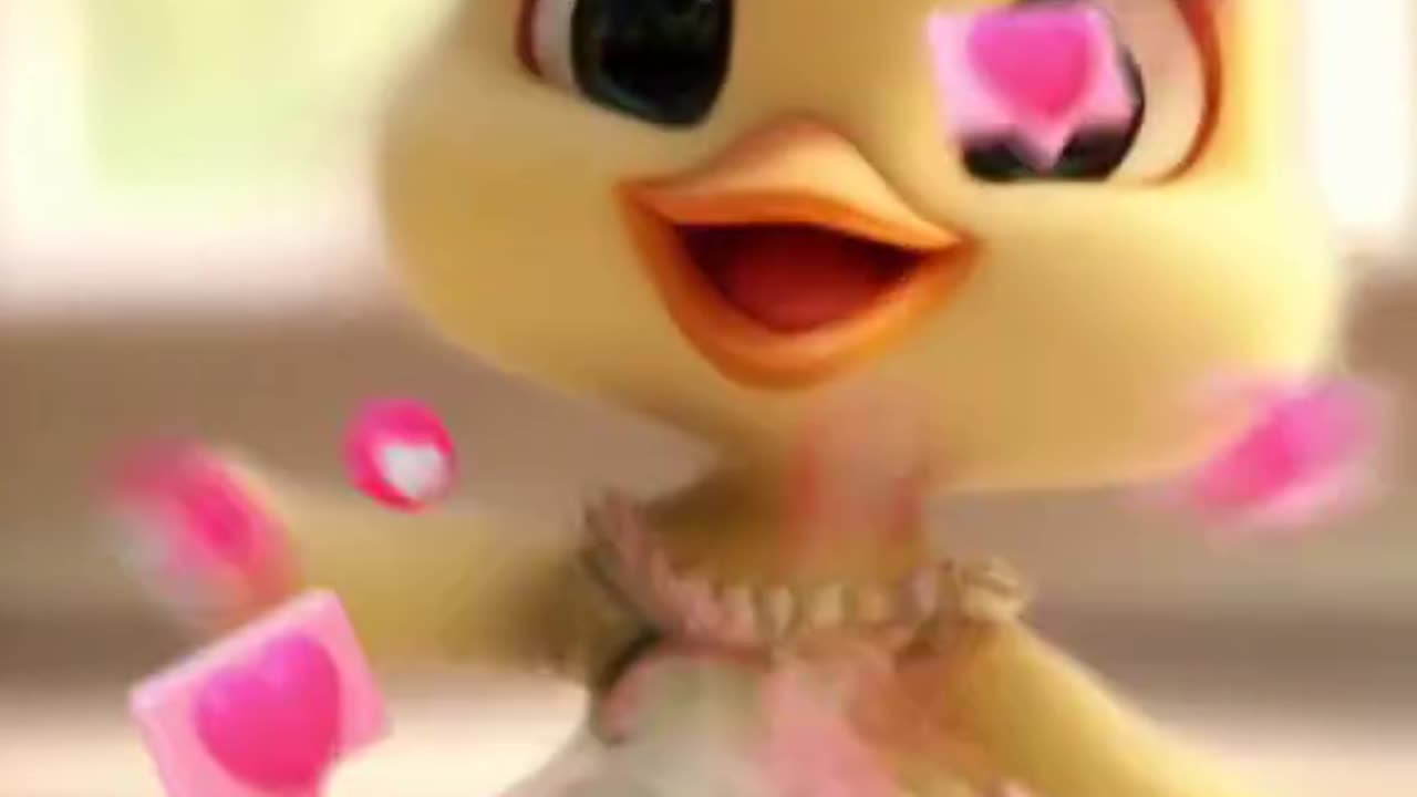 Very beautiful duck video