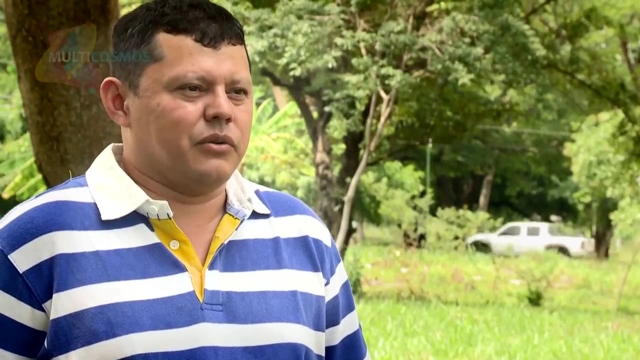 Meerwasser-Mysterium-und-Heilung. Rene Quinton