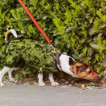 Camouflage Sweaters For All Members Of Your Family