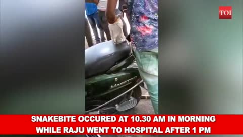 Youth dies while rescuing a cobra in Mumbai