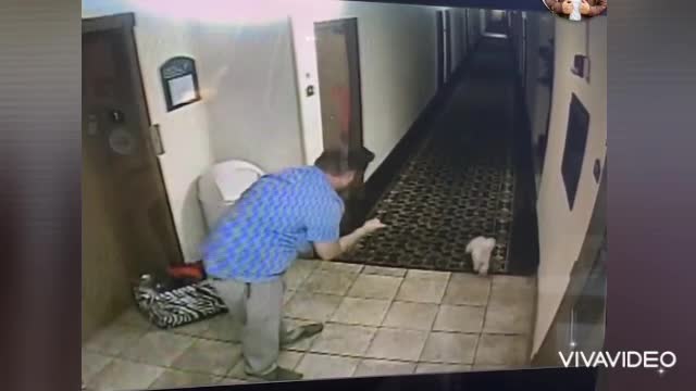 Man saves a dog from the elevator