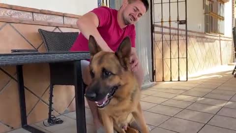 Talking German Shepherd doesn't want owner to leave