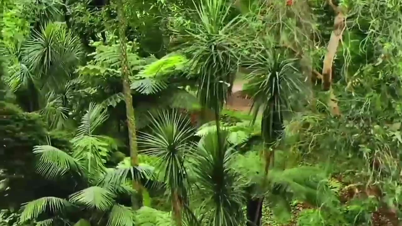 Nature